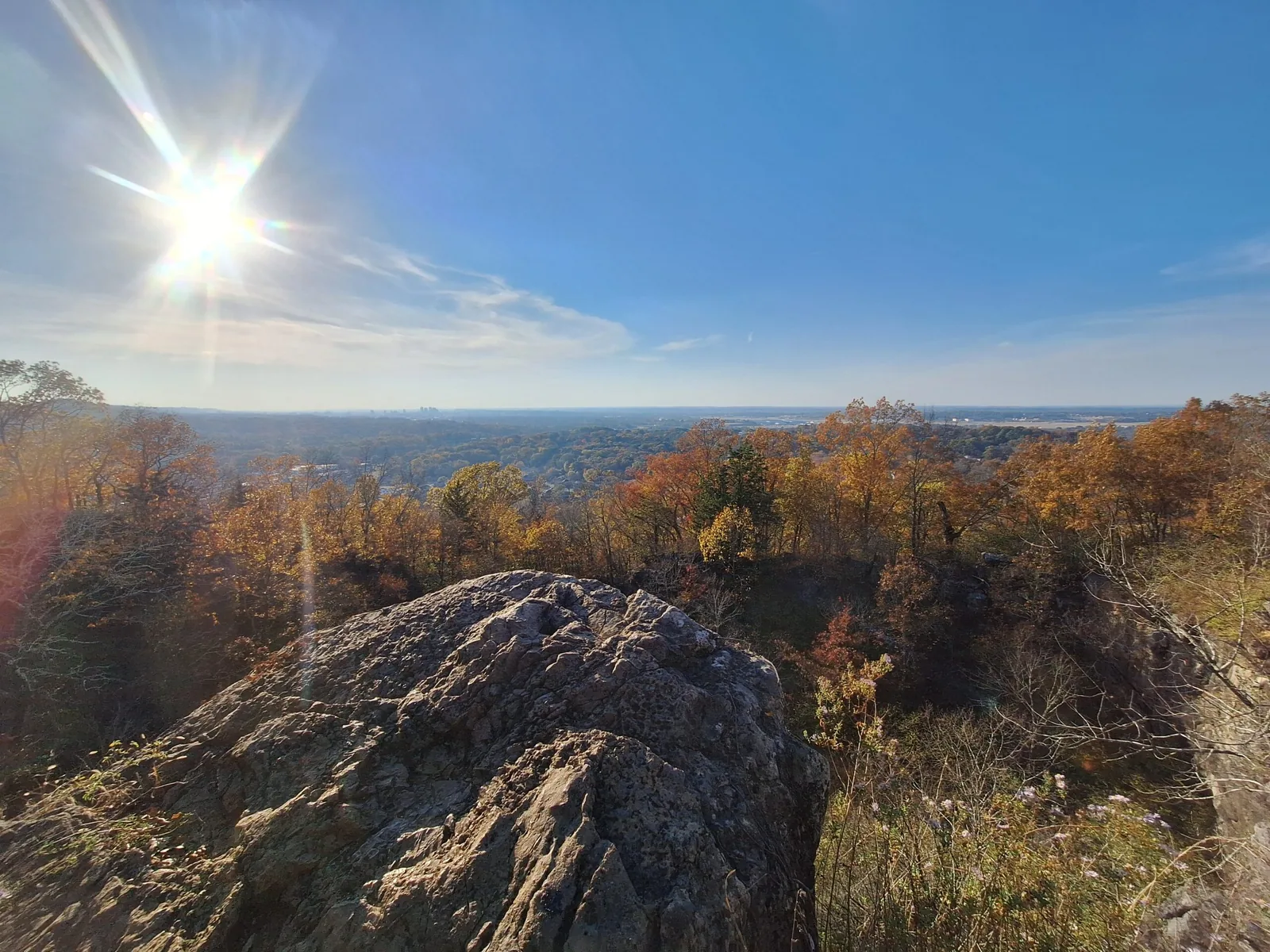 Vestavia Web Design, local to Birmingham, Alabama